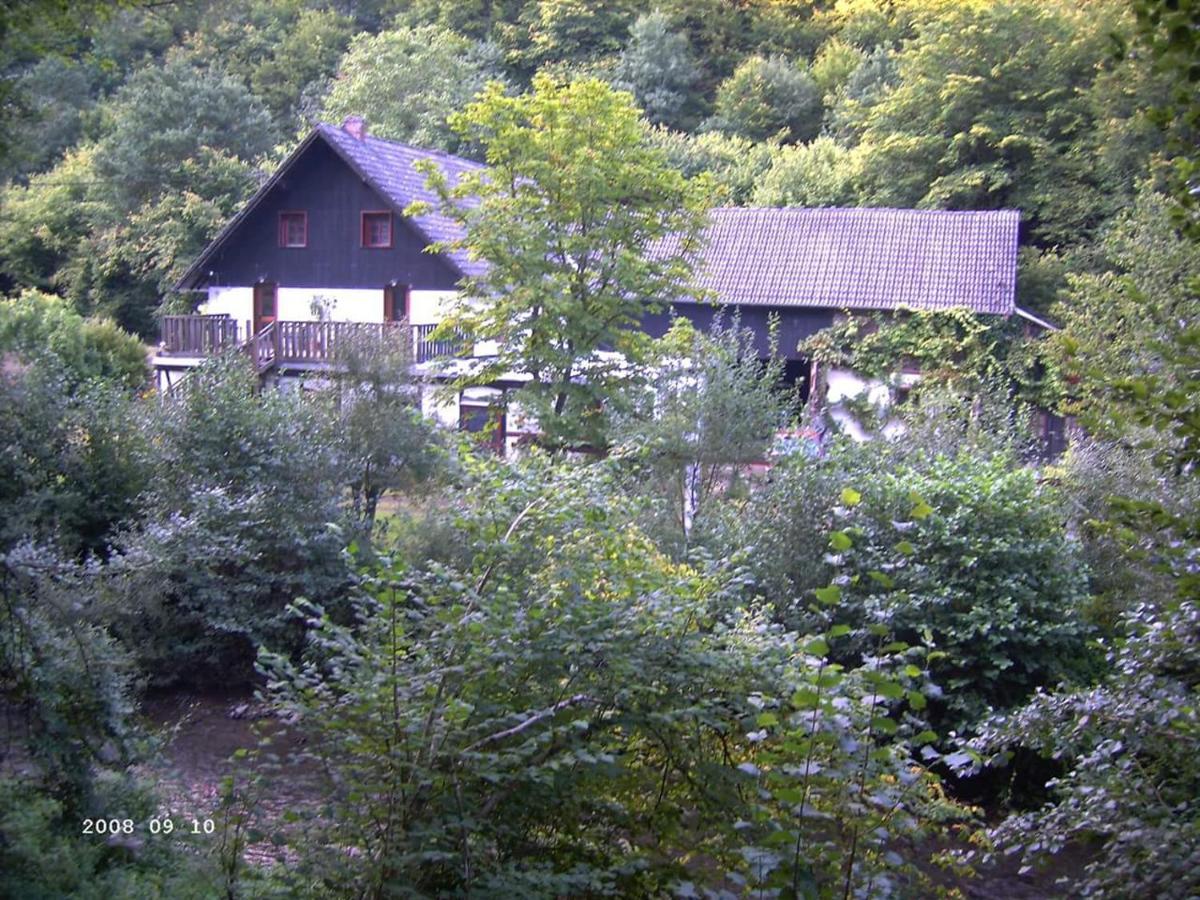 Neumuehle Ferienwohnung 2 Lutzerath Exterior photo